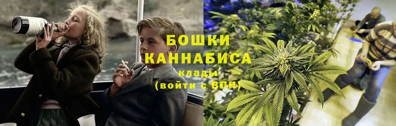 Шишки марихуана SATIVA & INDICA  Коломна 